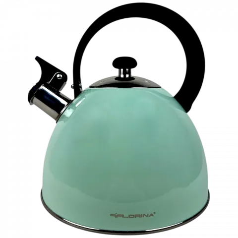Чайник FLORINA нерж. сталь 2,5л м`ятний арт. 5C6898 И898
