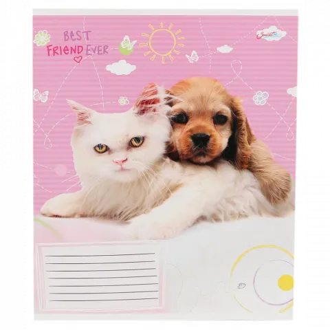 Зошит 12 арк. лінія бюджет Зошиток