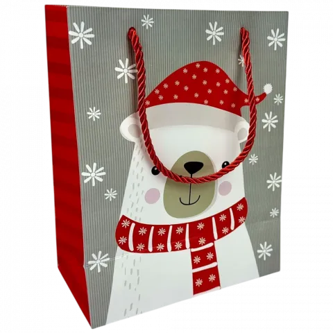 Пакет под. папер. НР 18х23х10 см 757S 5985 И998