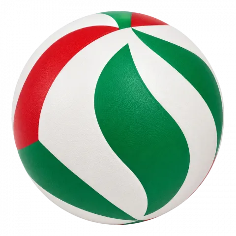 М`яч волейбольний VB20587 5