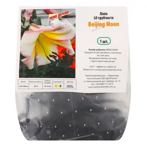 Лілія L/O Beijing Moon
