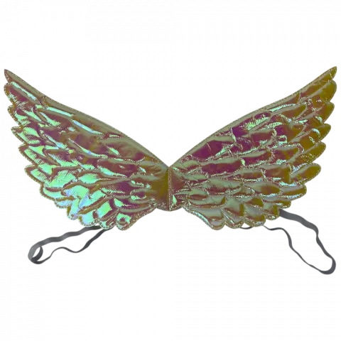 Крила ангела, 4220см арт. 6022-16 И298