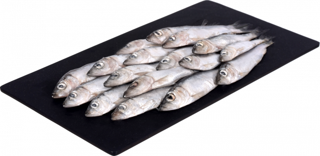 Риба Салака (кілька) свіжоморожена ваг.