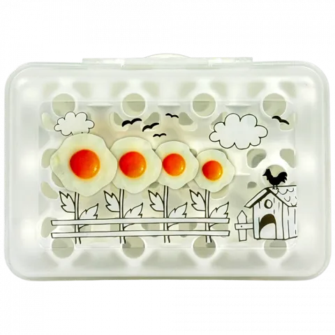 Бокс д/яєць Praktyczna 12 шт. з ручкою 4P0572 И661