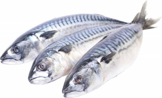 Риба Скумбрія с/м 300-500 IQF 10 глаз. ваг.
