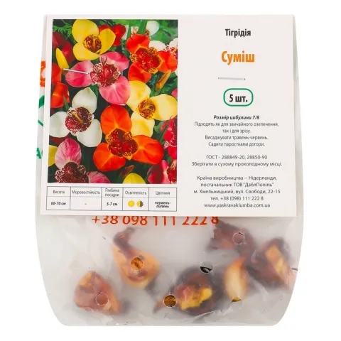 Тігрідія суміш 5 шт.