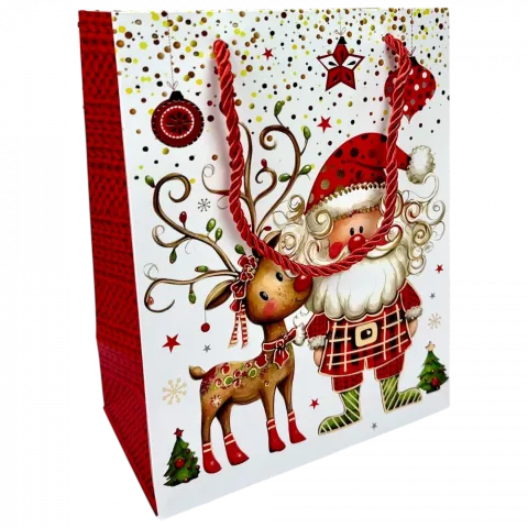 Пакет под. папер. НР 18х23х10 см 770S 5985 И943