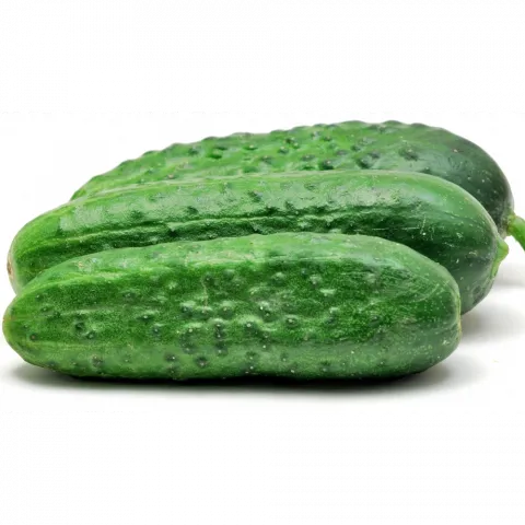 Огірки вага (Україна) колючий