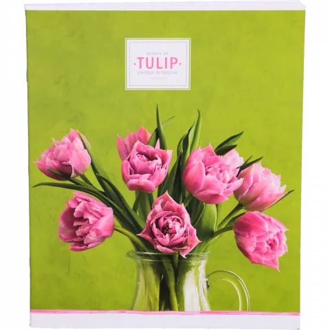 Зошит Школярик 60 арк. УФ лак лінійка