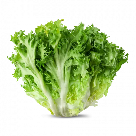 Салат пучок шт.