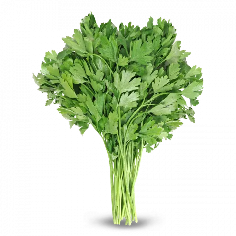Петрушка пучок шт.
