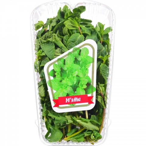 М`ята в уп. (50 г)