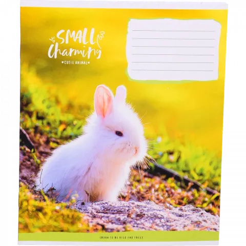 Зошит Школярик 12 арк. клітинка