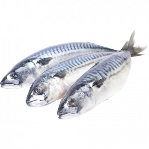 Риба Скумбрія с/м 300-500 IQF 10 глаз. ваг.
