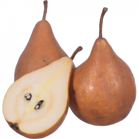 Груша Яблунівська (Україна) вага