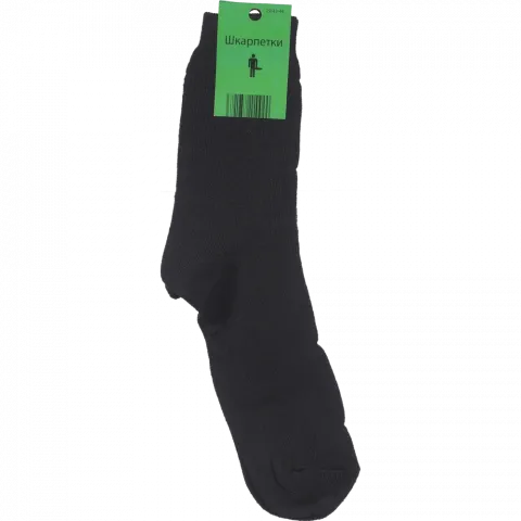 Шкарпетки чол. Махрові 12004 29 зима