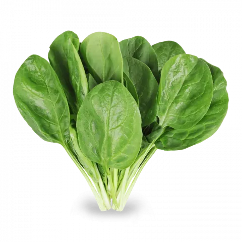Шпинат пучок шт.