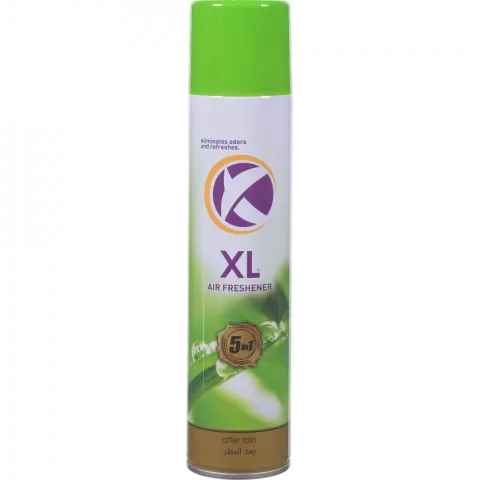 Освіж. повітря XL 300 мл Після дощу