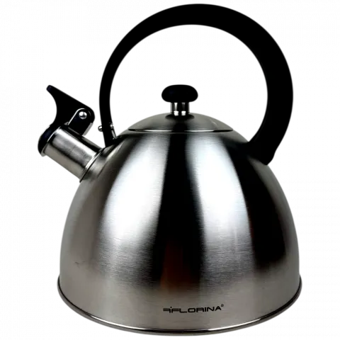 Чайник FLORINA Brillo 2,5л  арт.5C8055 И055