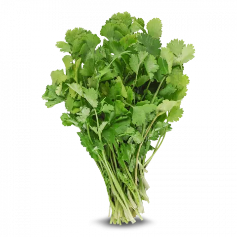 Кінза пучок шт.