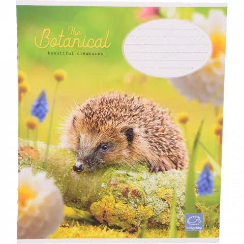 Зошит Школярик 12 арк. коса лінійка