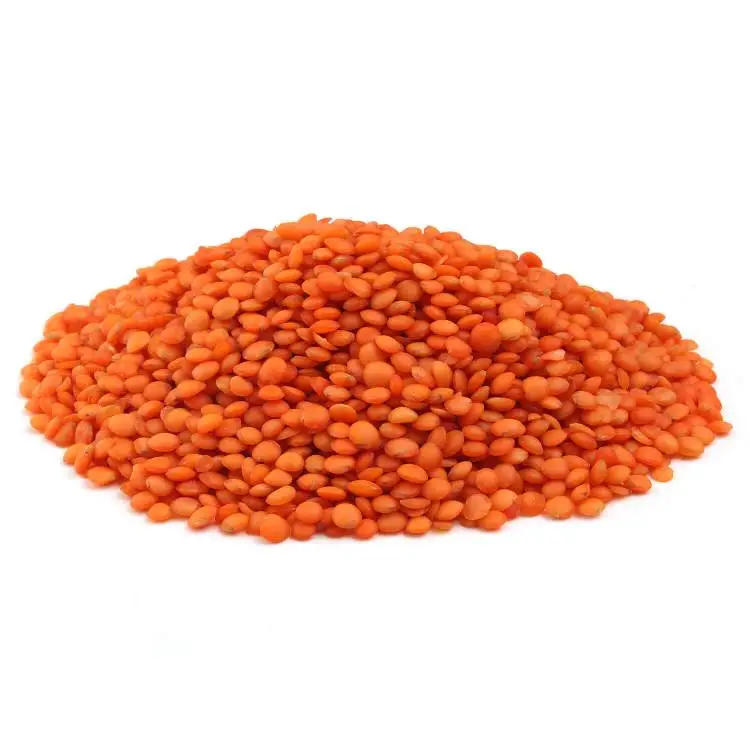 Чечевица красная