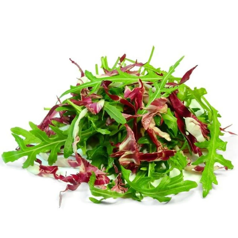 Смесь салатов с руколой, 125 г