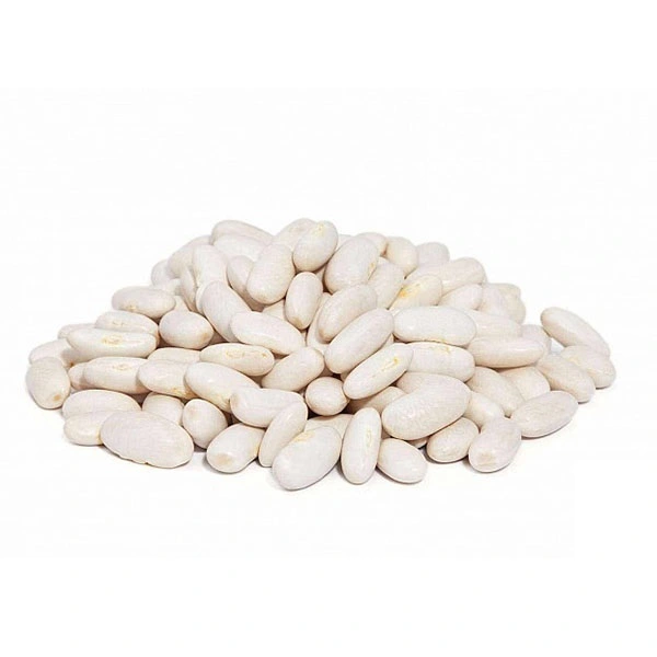 Фасоль белая