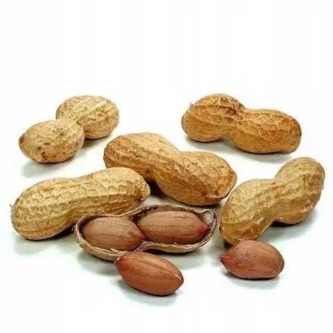 Арахис стручковой