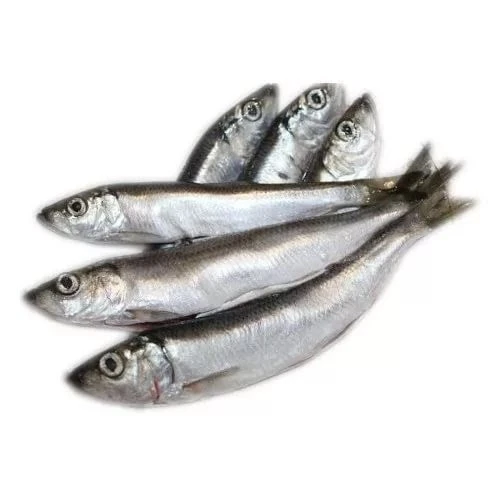 Салака замороженная