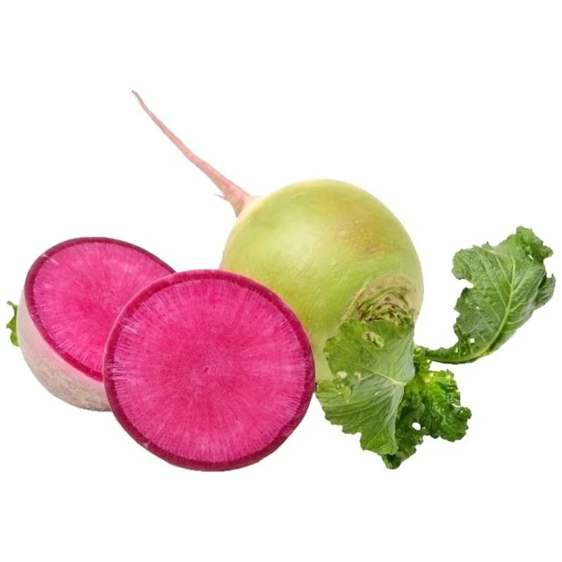 Редька арбузная