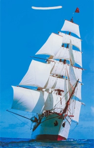 Пакет подарочный  А+, 1 шт