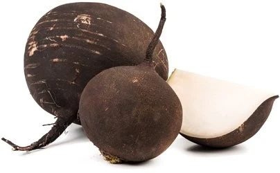 Редька черная