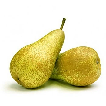 Груша Конференция