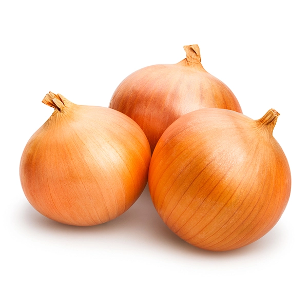 Лук репчатый